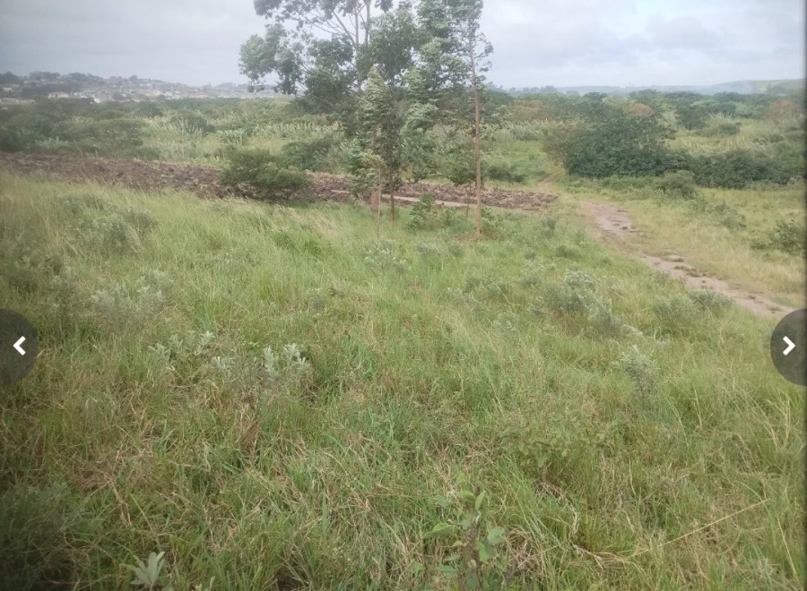 Commercial Property for Sale in Ongoye KwaZulu-Natal