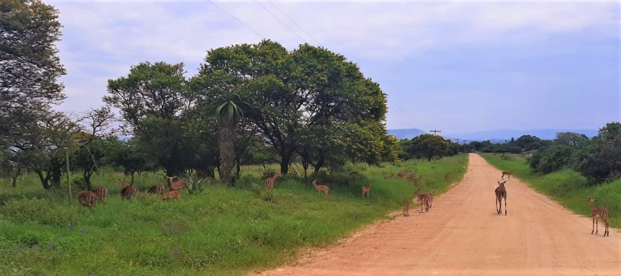 Commercial Property for Sale in Ashburton KwaZulu-Natal