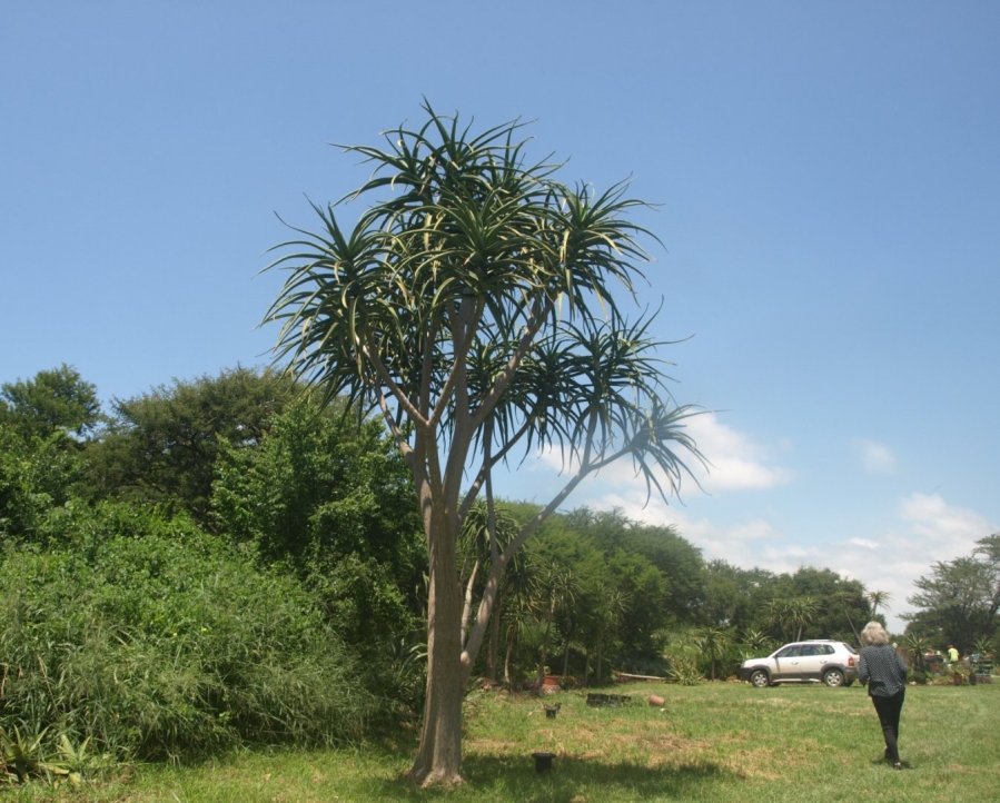 Commercial Property for Sale in Ashburton KwaZulu-Natal