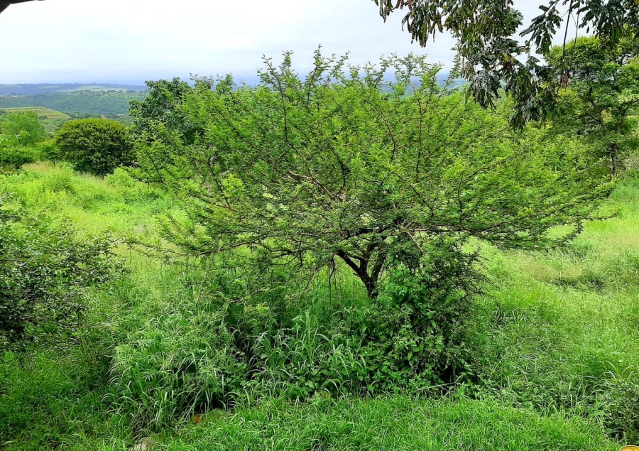 Commercial Property for Sale in Ashburton KwaZulu-Natal