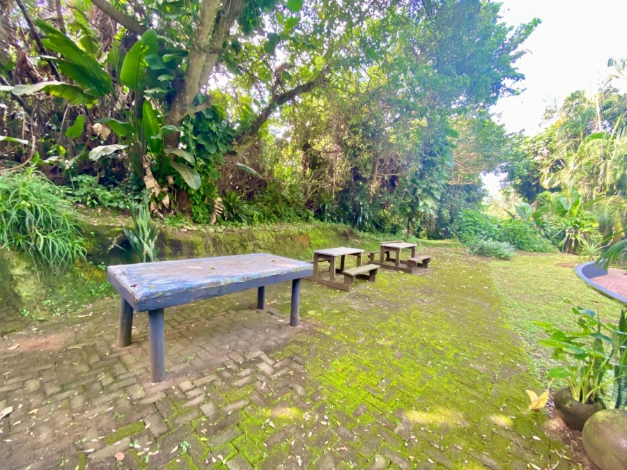 Commercial Property for Sale in Blythedale KwaZulu-Natal