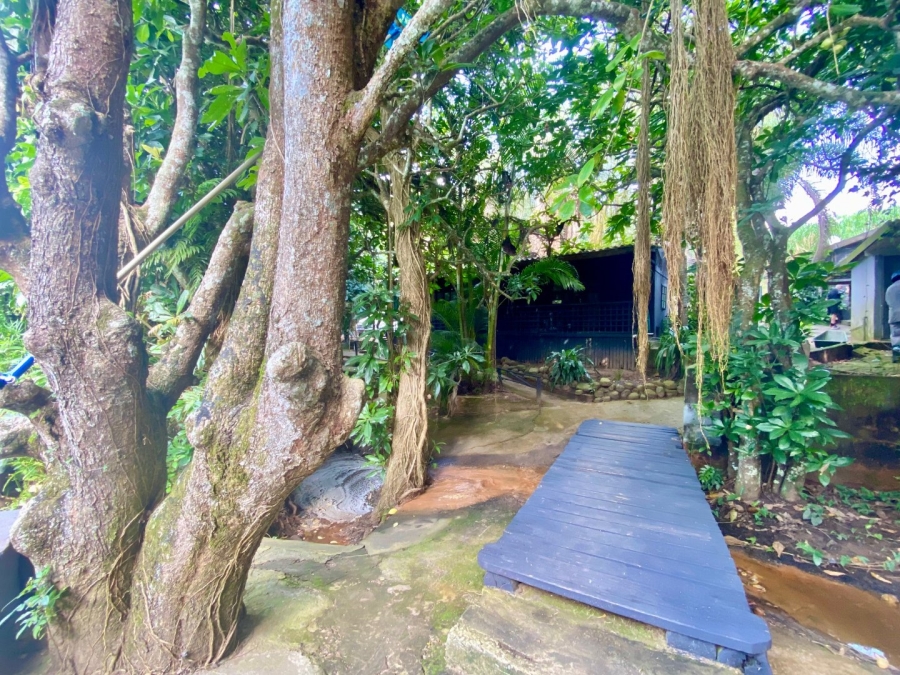Commercial Property for Sale in Blythedale KwaZulu-Natal