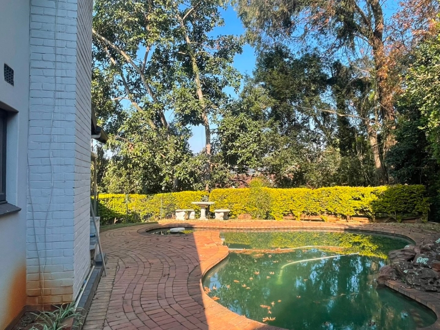 To Let 4 Bedroom Property for Rent in Chase Valley Downs KwaZulu-Natal