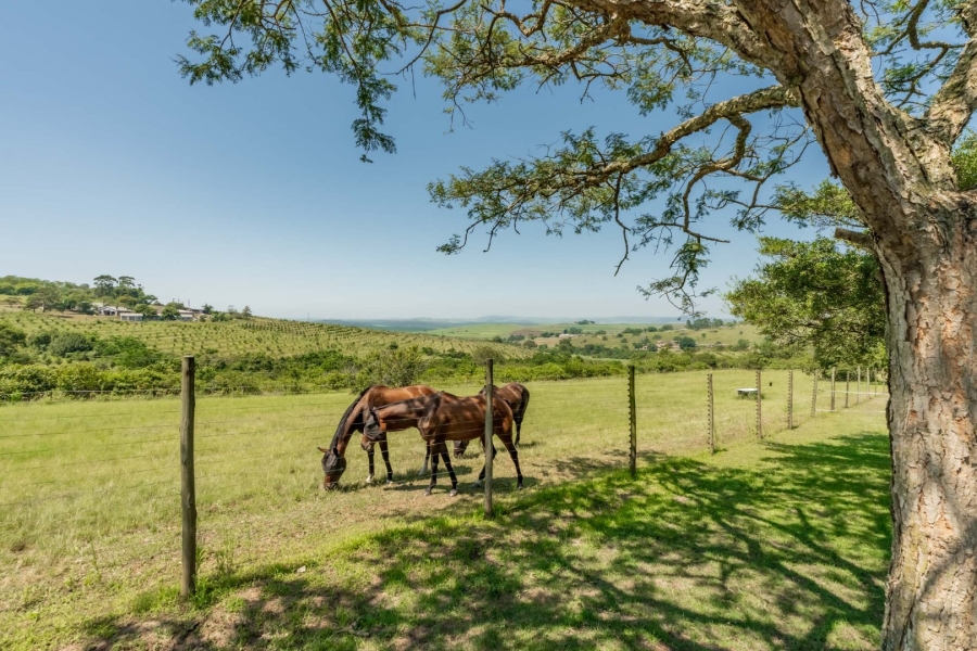 Commercial Property for Sale in Cato Ridge KwaZulu-Natal