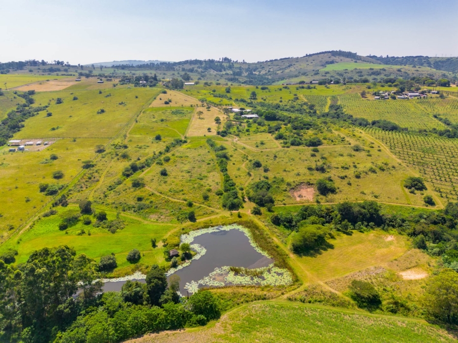 Commercial Property for Sale in Cato Ridge KwaZulu-Natal