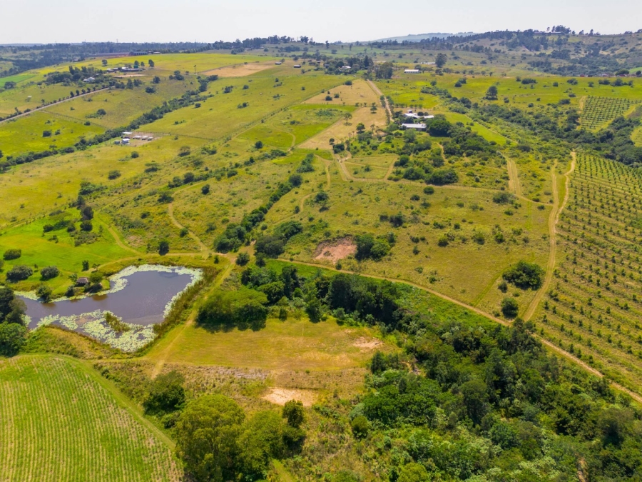 Commercial Property for Sale in Cato Ridge KwaZulu-Natal