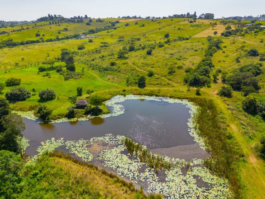 Commercial Property for Sale in Cato Ridge KwaZulu-Natal