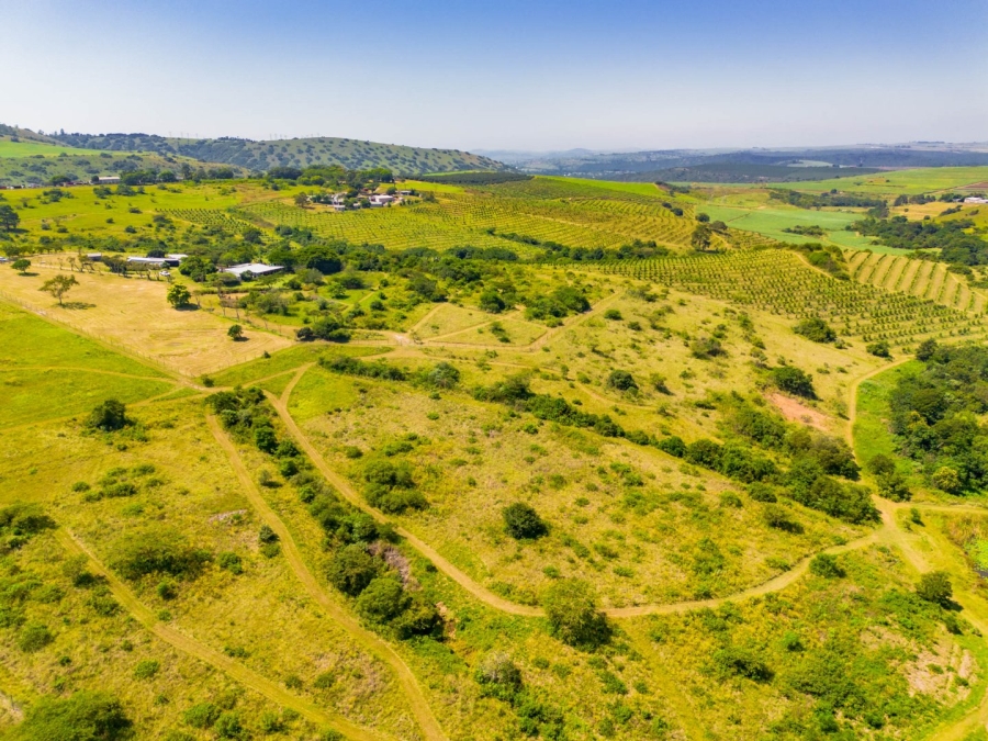 Commercial Property for Sale in Cato Ridge KwaZulu-Natal