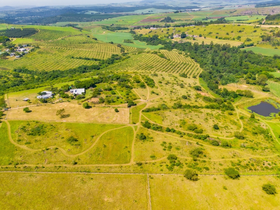 Commercial Property for Sale in Cato Ridge KwaZulu-Natal