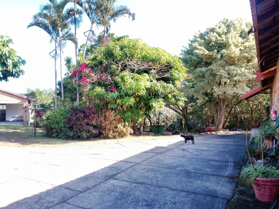 11 Bedroom Property for Sale in Uvongo KwaZulu-Natal