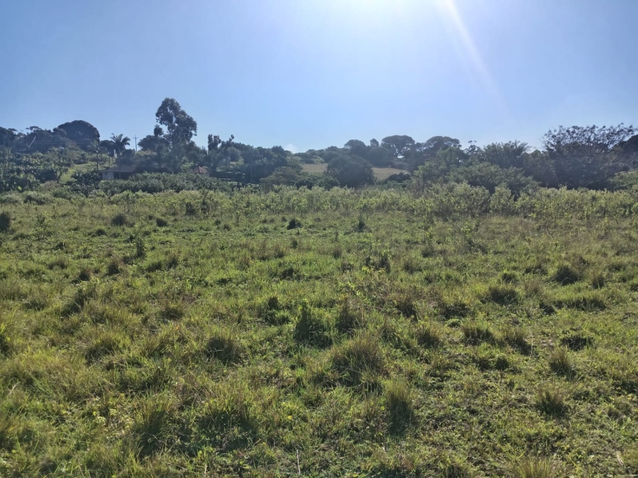 Commercial Property for Sale in Ongoye KwaZulu-Natal