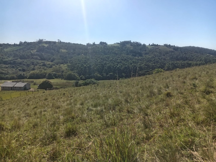 Commercial Property for Sale in Ongoye KwaZulu-Natal