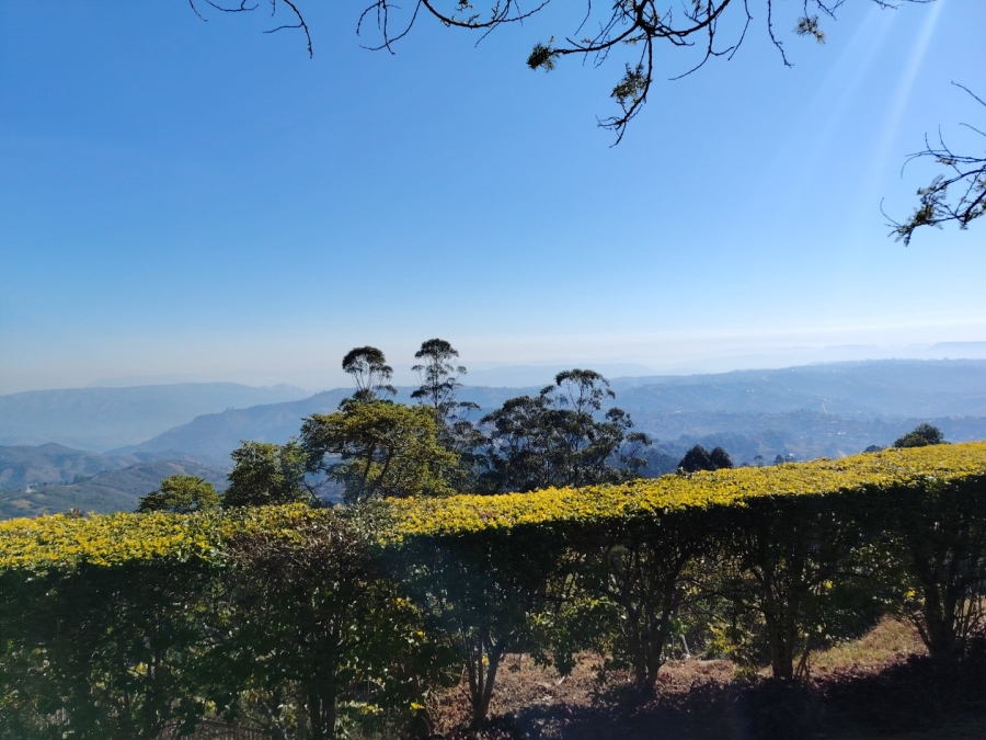 To Let 2 Bedroom Property for Rent in Bothas Hill KwaZulu-Natal