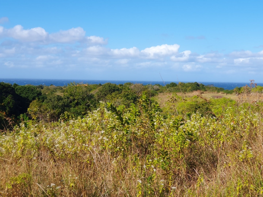Commercial Property for Sale in Leisure Bay KwaZulu-Natal