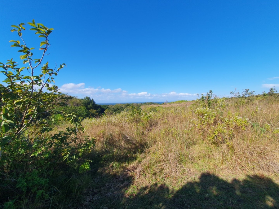 Commercial Property for Sale in Leisure Bay KwaZulu-Natal
