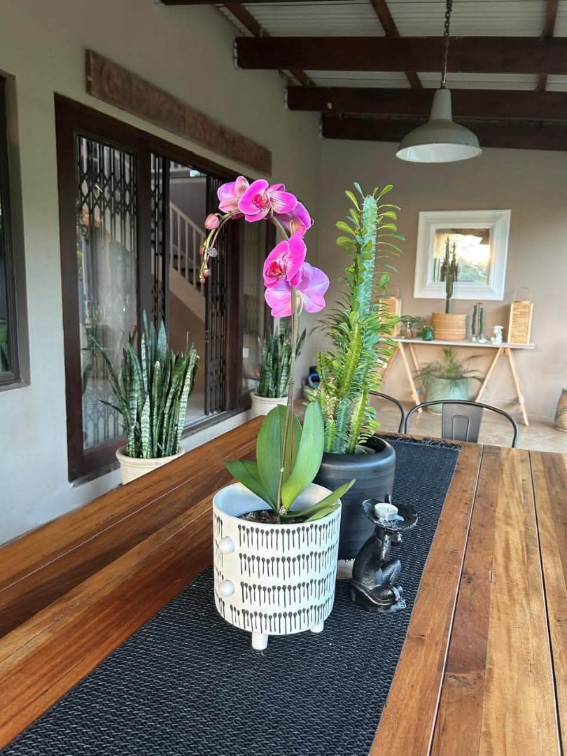 To Let Commercial Property for Rent in Drummond KwaZulu-Natal