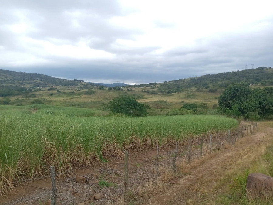 Commercial Property for Sale in Stanger KwaZulu-Natal