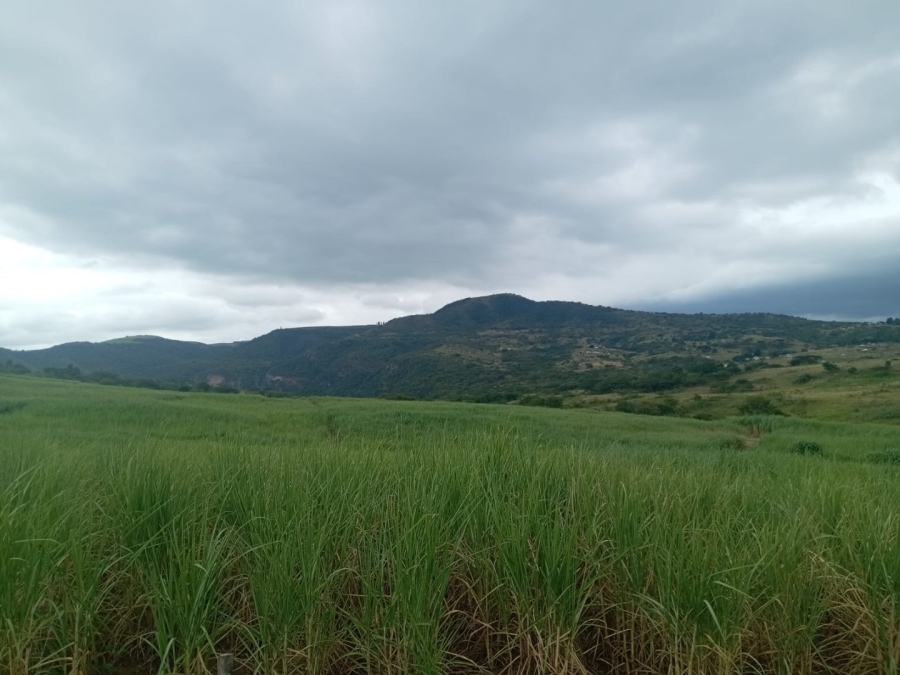 Commercial Property for Sale in Stanger KwaZulu-Natal