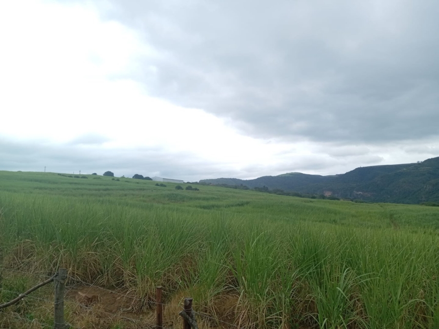 Commercial Property for Sale in Stanger KwaZulu-Natal