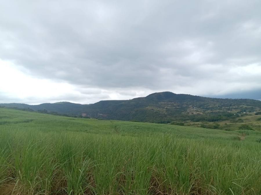 Commercial Property for Sale in Stanger KwaZulu-Natal