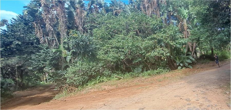 Commercial Property for Sale in Ivy Beach KwaZulu-Natal