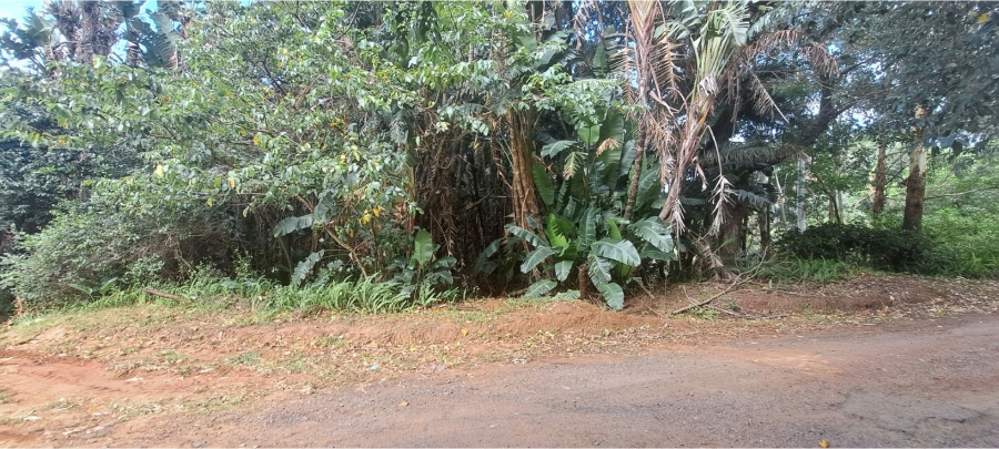 Commercial Property for Sale in Ivy Beach KwaZulu-Natal