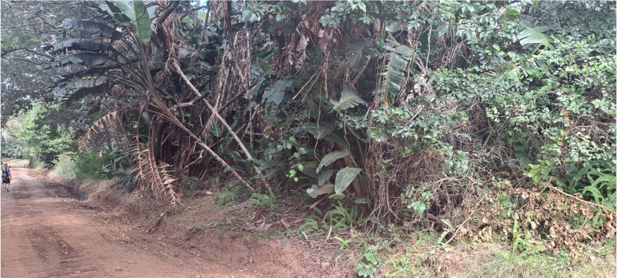 Commercial Property for Sale in Ivy Beach KwaZulu-Natal