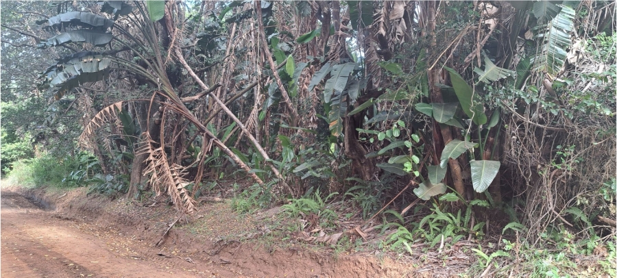 Commercial Property for Sale in Ivy Beach KwaZulu-Natal