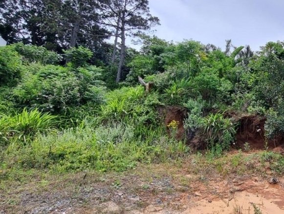 Commercial Property for Sale in Trafalgar KwaZulu-Natal