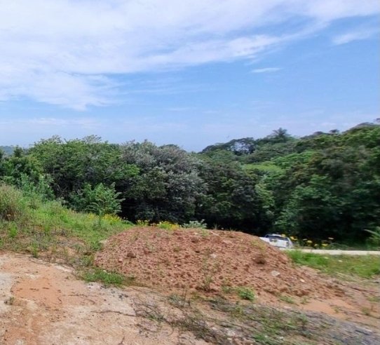 Commercial Property for Sale in Trafalgar KwaZulu-Natal