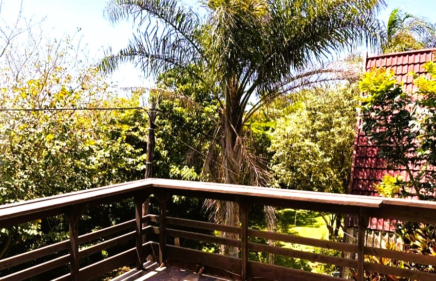 To Let 3 Bedroom Property for Rent in Hibberdene KwaZulu-Natal