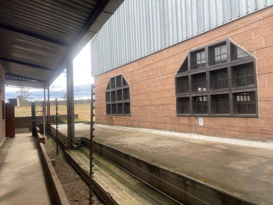 To Let Commercial Property for Rent in Camperdown KwaZulu-Natal