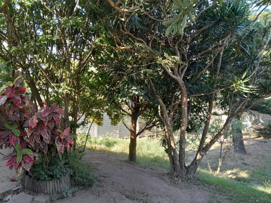 To Let 3 Bedroom Property for Rent in Escombe KwaZulu-Natal