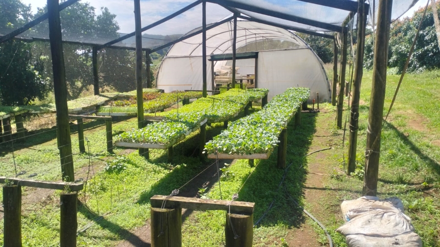 Commercial Property for Sale in Richmond KwaZulu-Natal