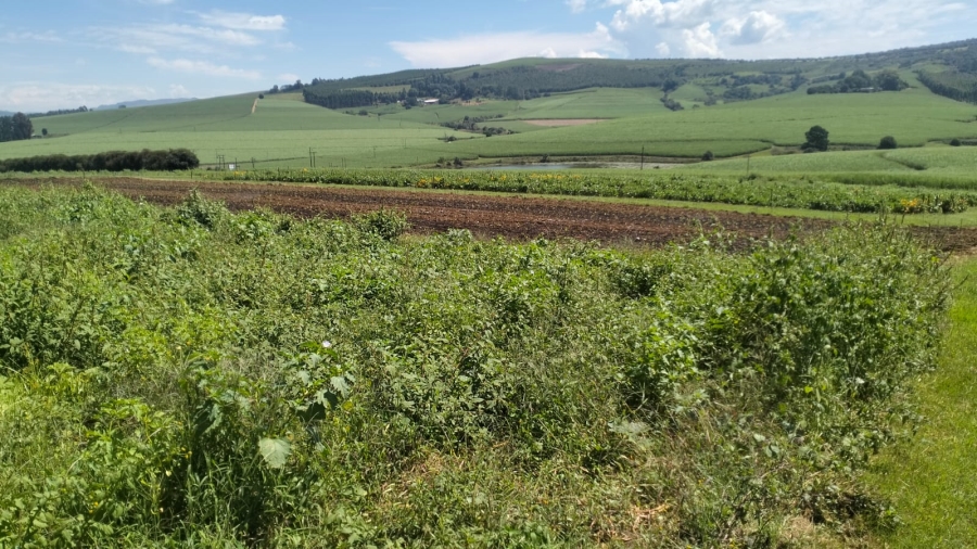 Commercial Property for Sale in Richmond KwaZulu-Natal