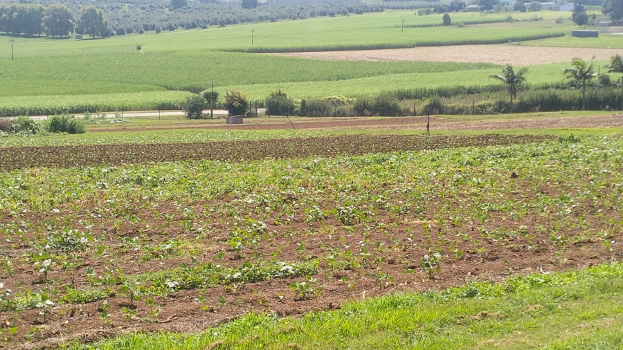 Commercial Property for Sale in Richmond KwaZulu-Natal
