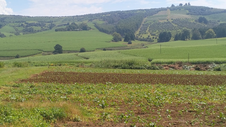 Commercial Property for Sale in Richmond KwaZulu-Natal