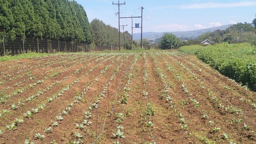 Commercial Property for Sale in Richmond KwaZulu-Natal