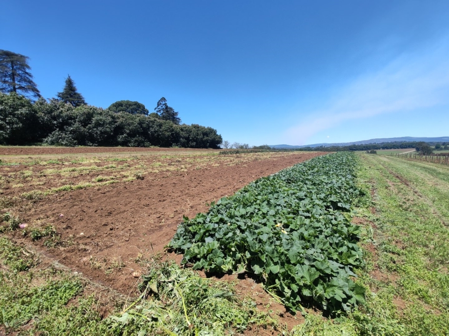 Commercial Property for Sale in Richmond KwaZulu-Natal
