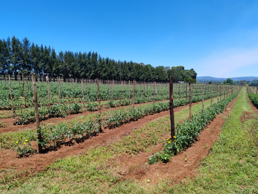 Commercial Property for Sale in Richmond KwaZulu-Natal