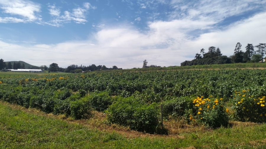 Commercial Property for Sale in Richmond KwaZulu-Natal