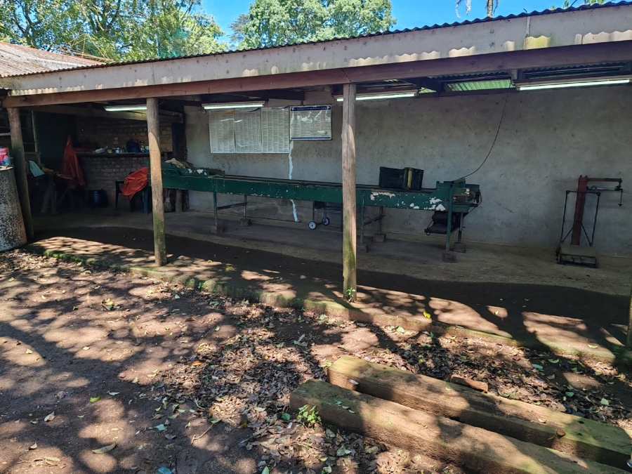 Commercial Property for Sale in Richmond KwaZulu-Natal