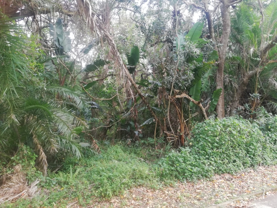 Commercial Property for Sale in Ramsgate KwaZulu-Natal