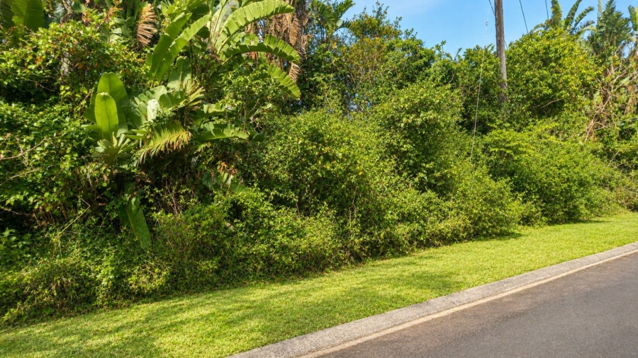 Commercial Property for Sale in Ramsgate KwaZulu-Natal