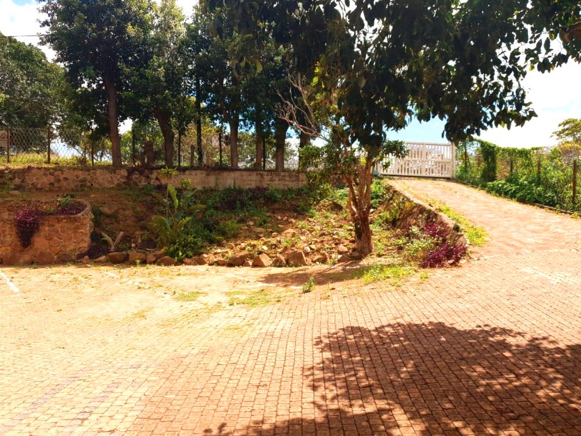 To Let 3 Bedroom Property for Rent in Berea West KwaZulu-Natal
