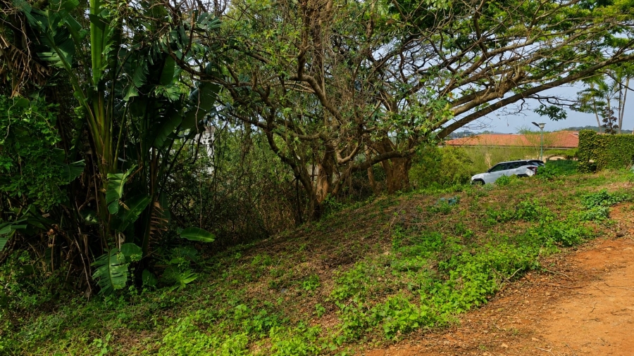 Commercial Property for Sale in Salt Rock KwaZulu-Natal