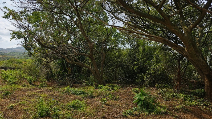Commercial Property for Sale in Salt Rock KwaZulu-Natal