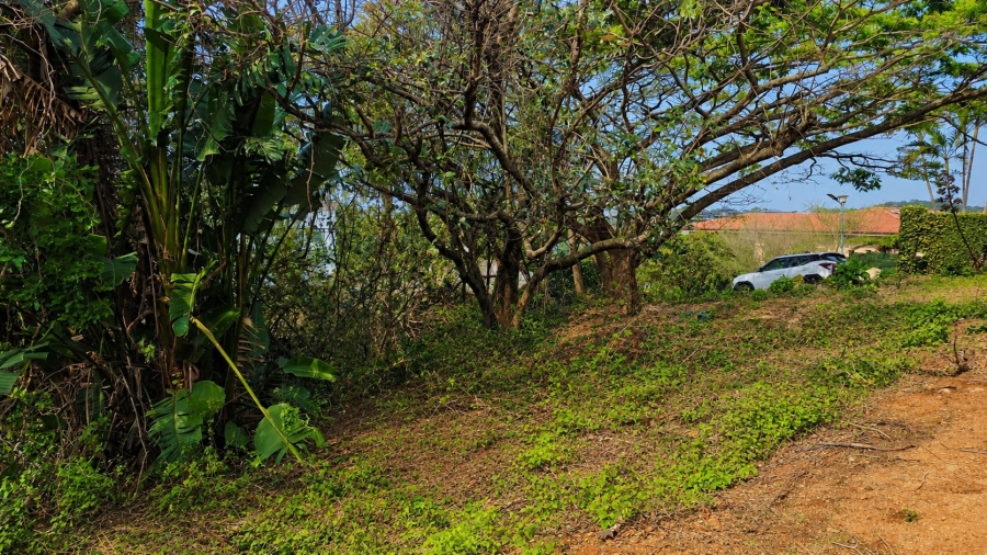 Commercial Property for Sale in Salt Rock KwaZulu-Natal