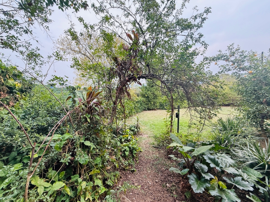 5 Bedroom Property for Sale in Scottsville KwaZulu-Natal