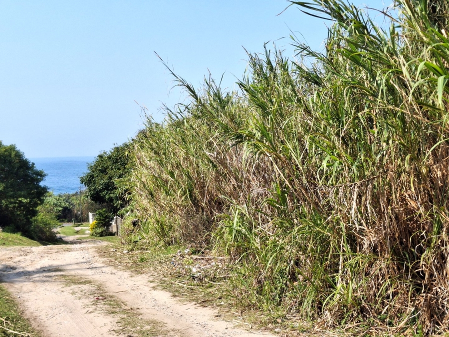 Commercial Property for Sale in Black Rock KwaZulu-Natal